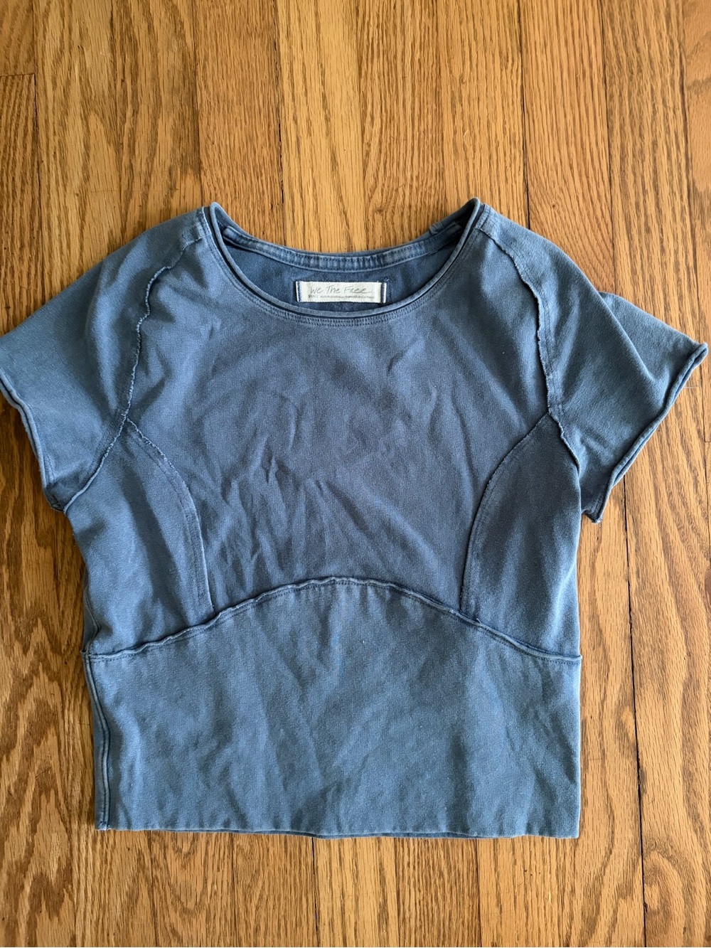 We the Free Protagonist Blue Crewneck Crop Top